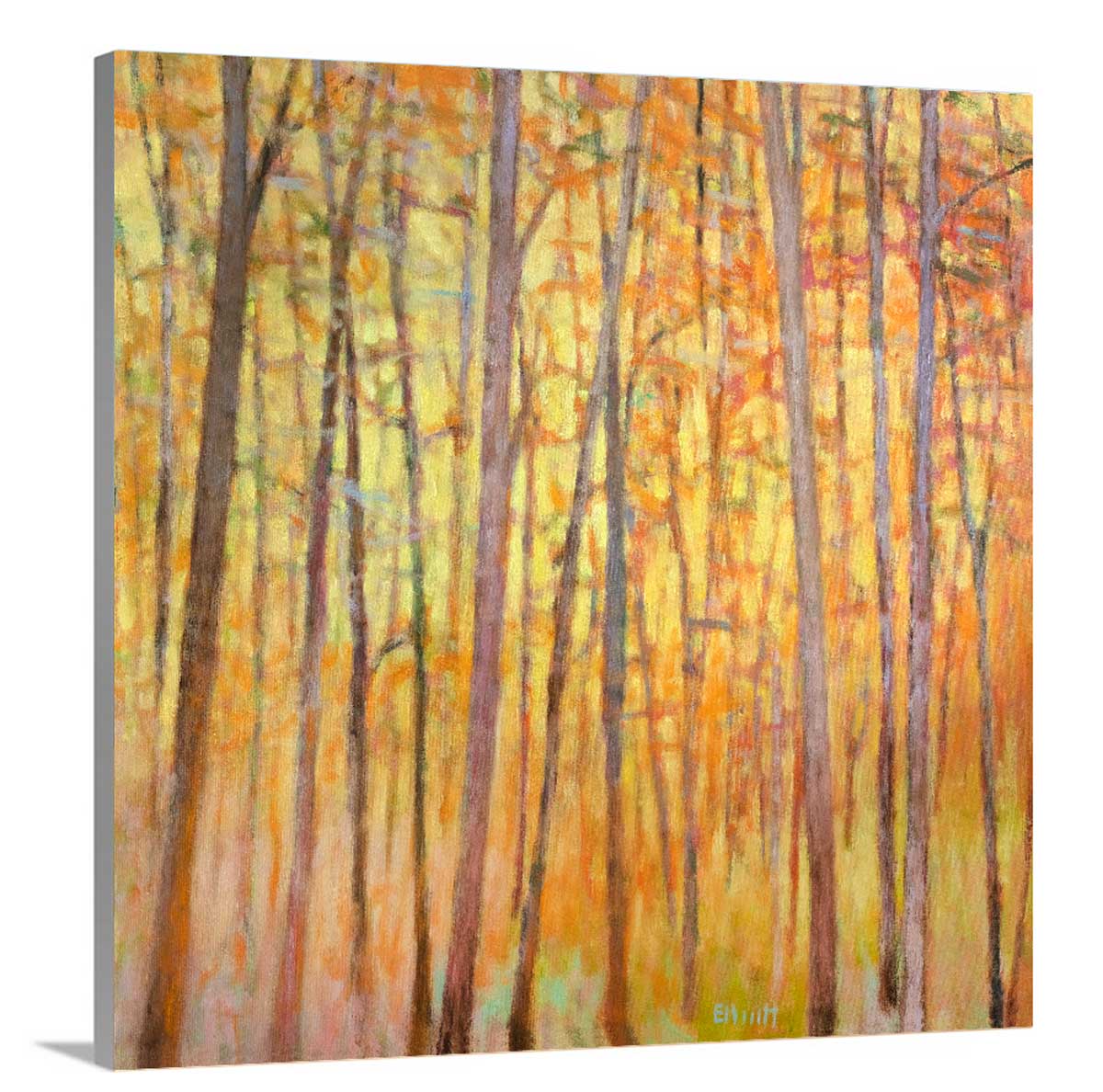 Saccades  XIII - Limited Edition Canvas Print - Image 4