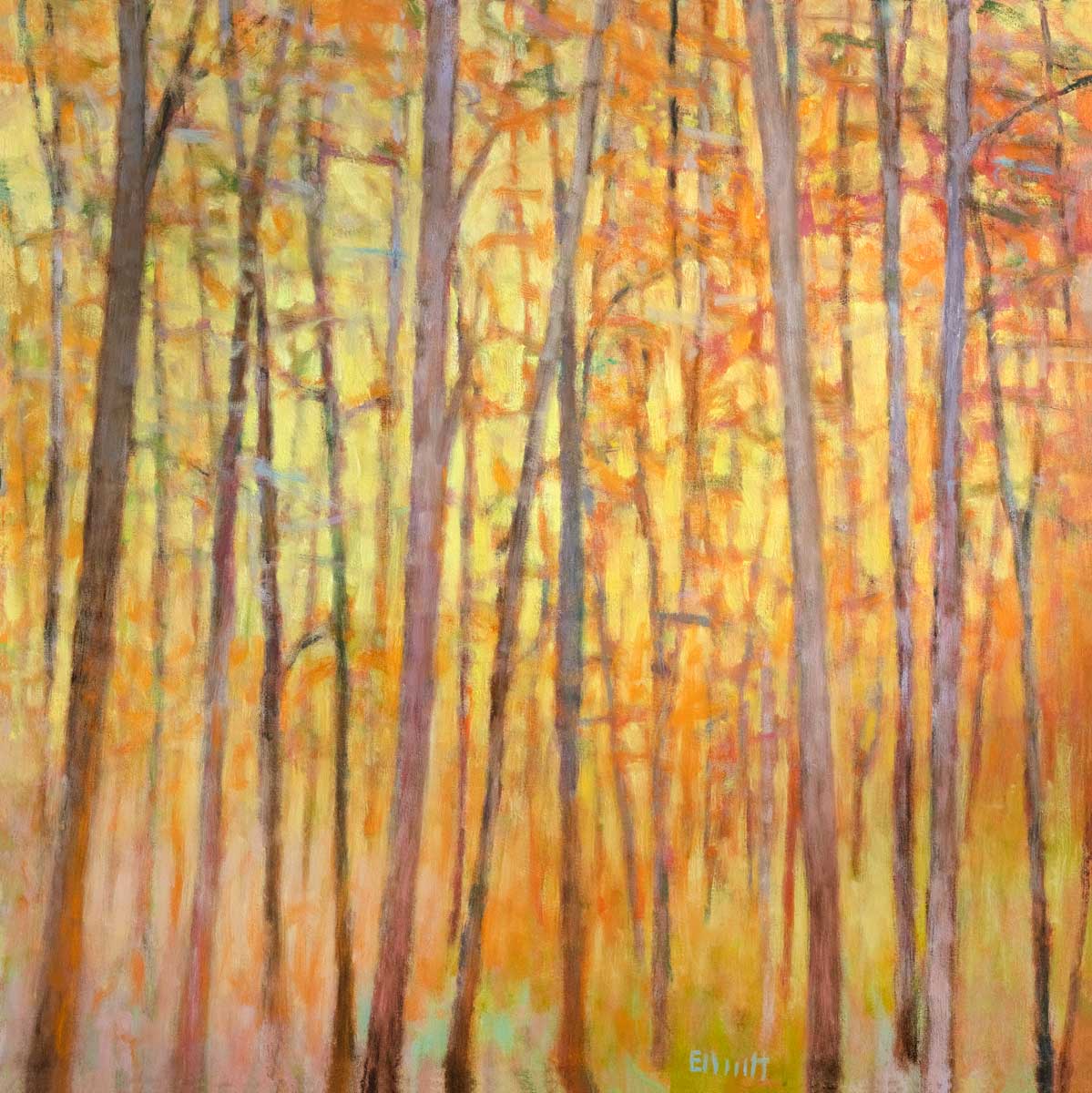 Saccades  XIII - Limited Edition Canvas Print - Image 5