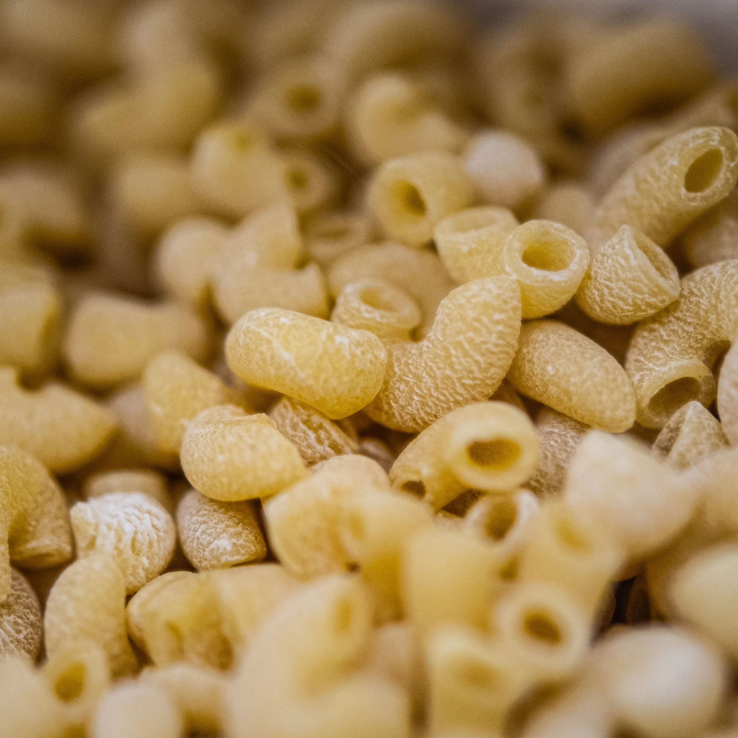 SALE CLOSE DATED | Curvi Lisci Pasta | 16 oz | Sabbiatos - Image 4