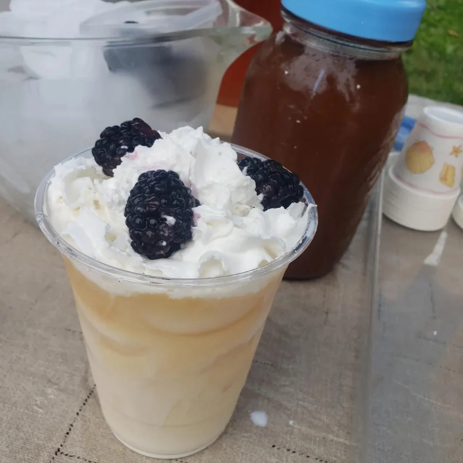 SALE PAST DATED | Blackberry Tea | Cold Brew Black Tea | 2 Pitcher Bags | Sugar Free | Caffeinated | Tea n More - Image 5