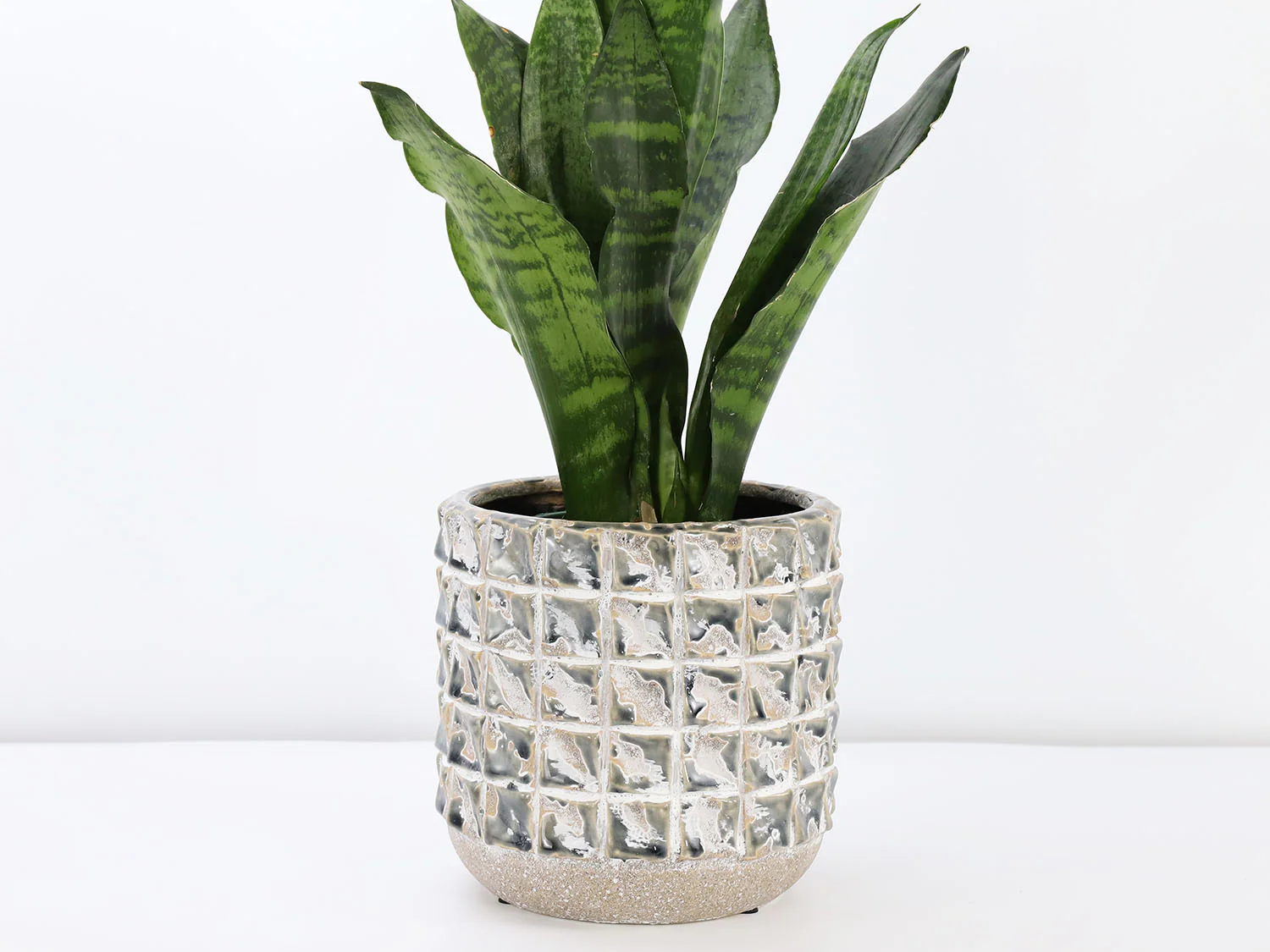 Salinas Planters - Image 3