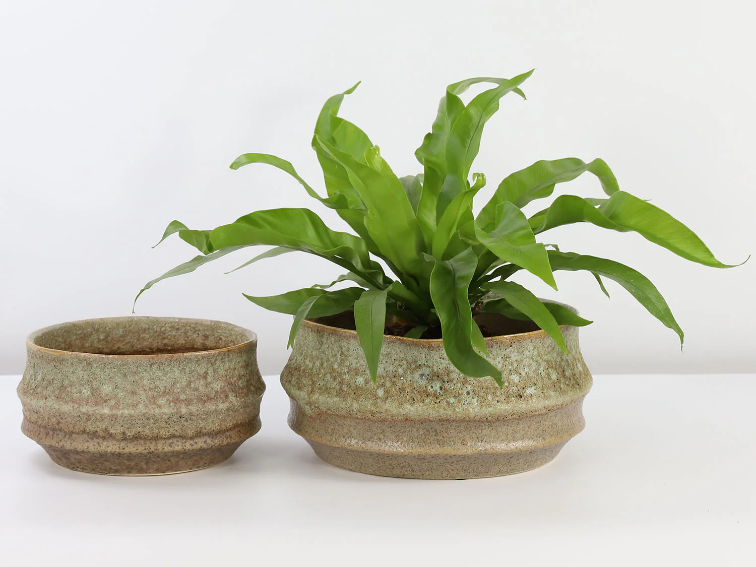 Santa Barbara Bowls - Image 2
