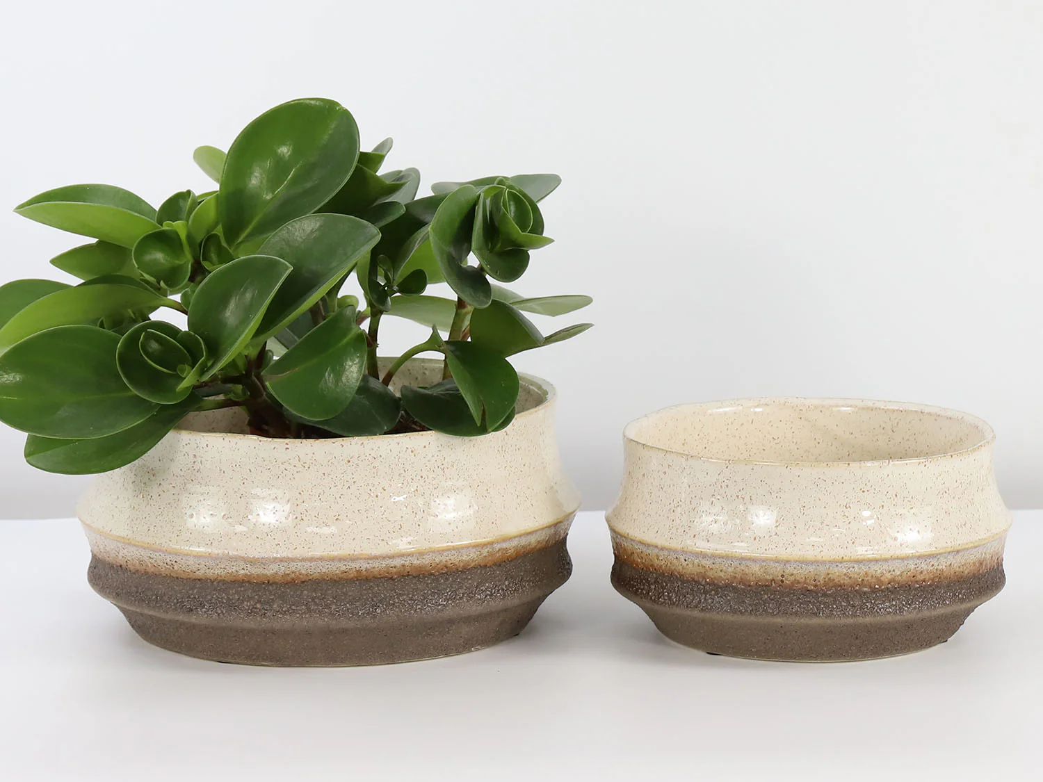 Santa Barbara Bowls - Image 6