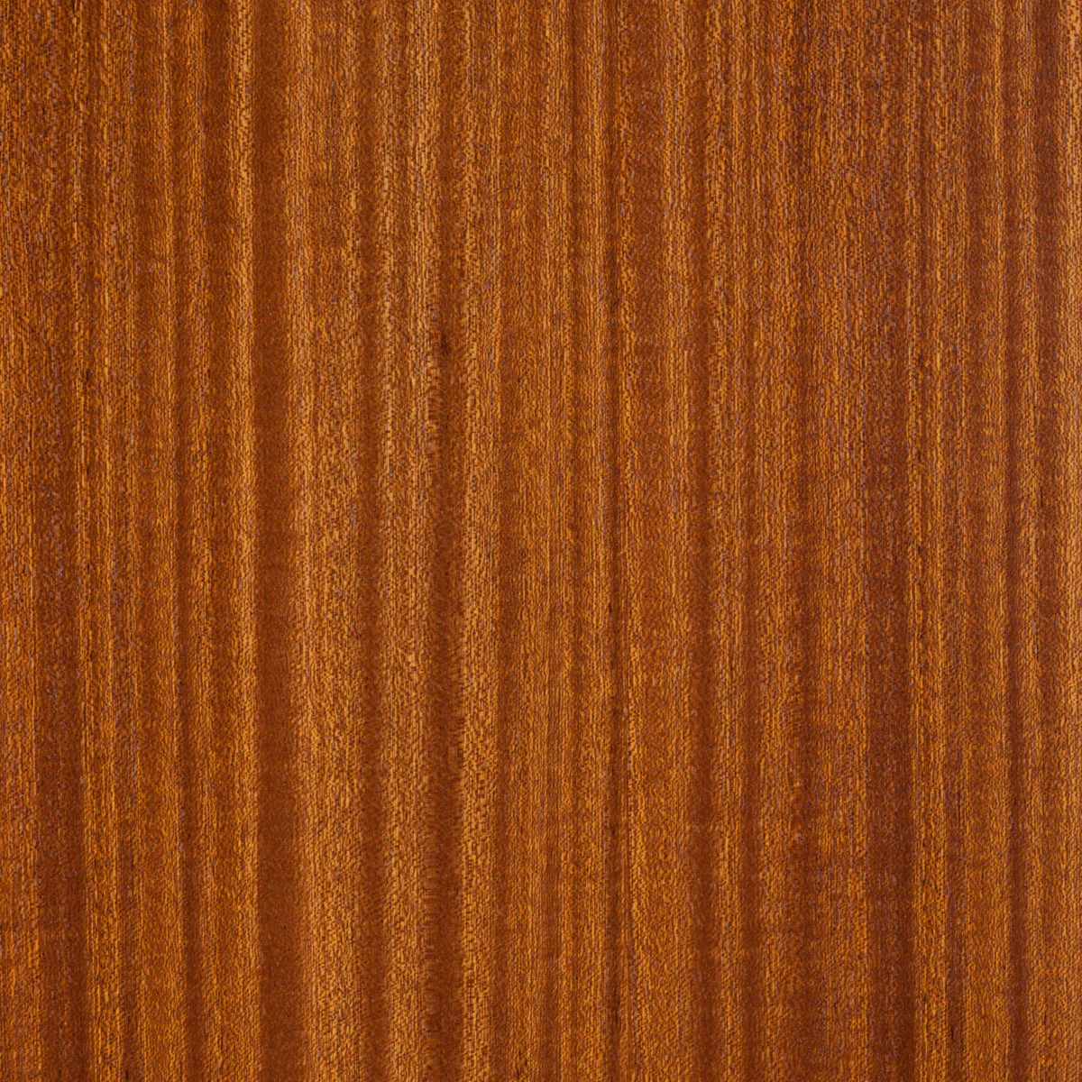 Sapele