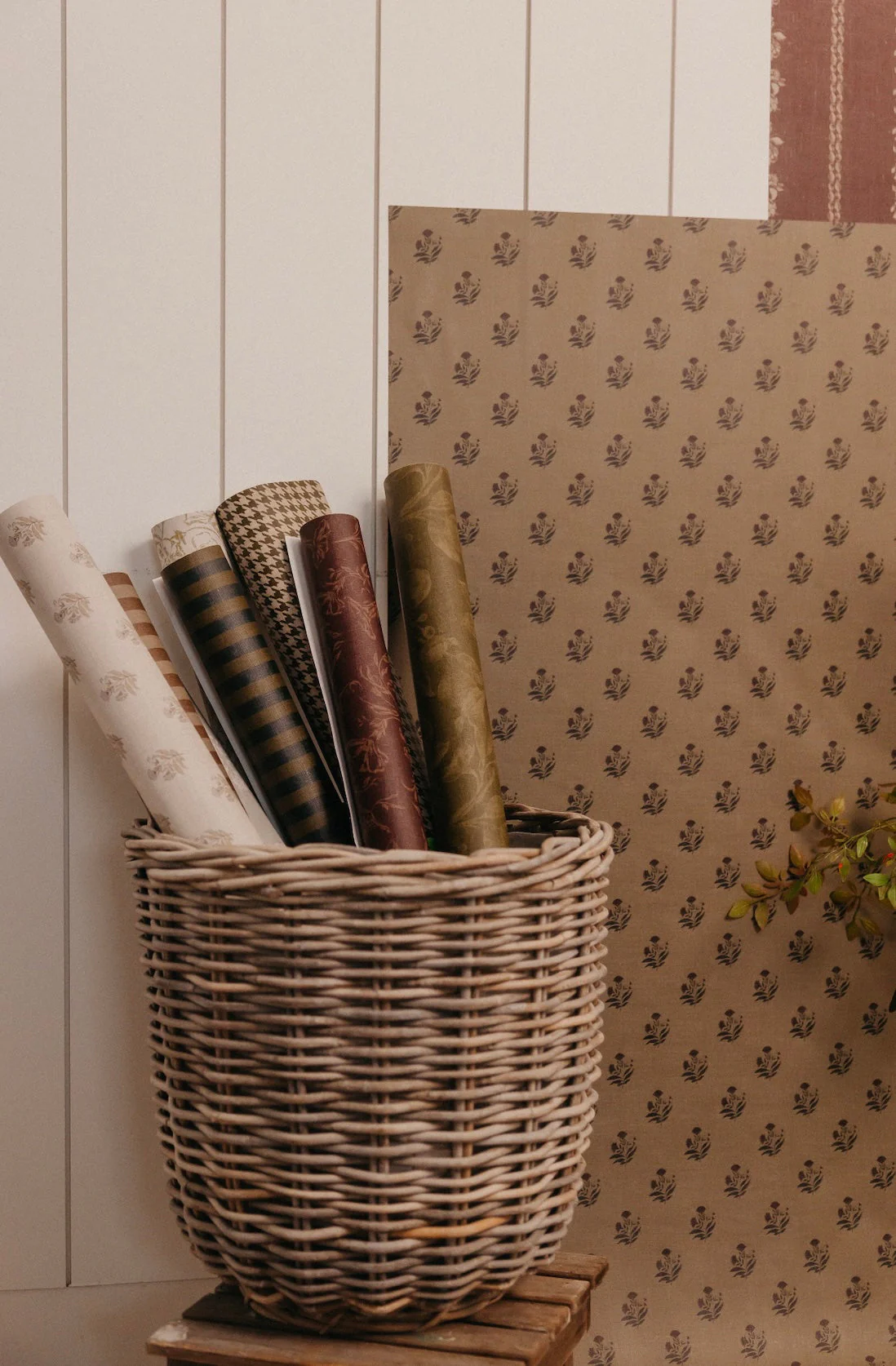 Savile Row Wallpaper by Safari Natalia x Taddy Mikelaites - Image 17