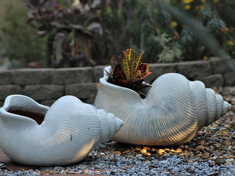 Shell Planter By Plantatorem - Image 2