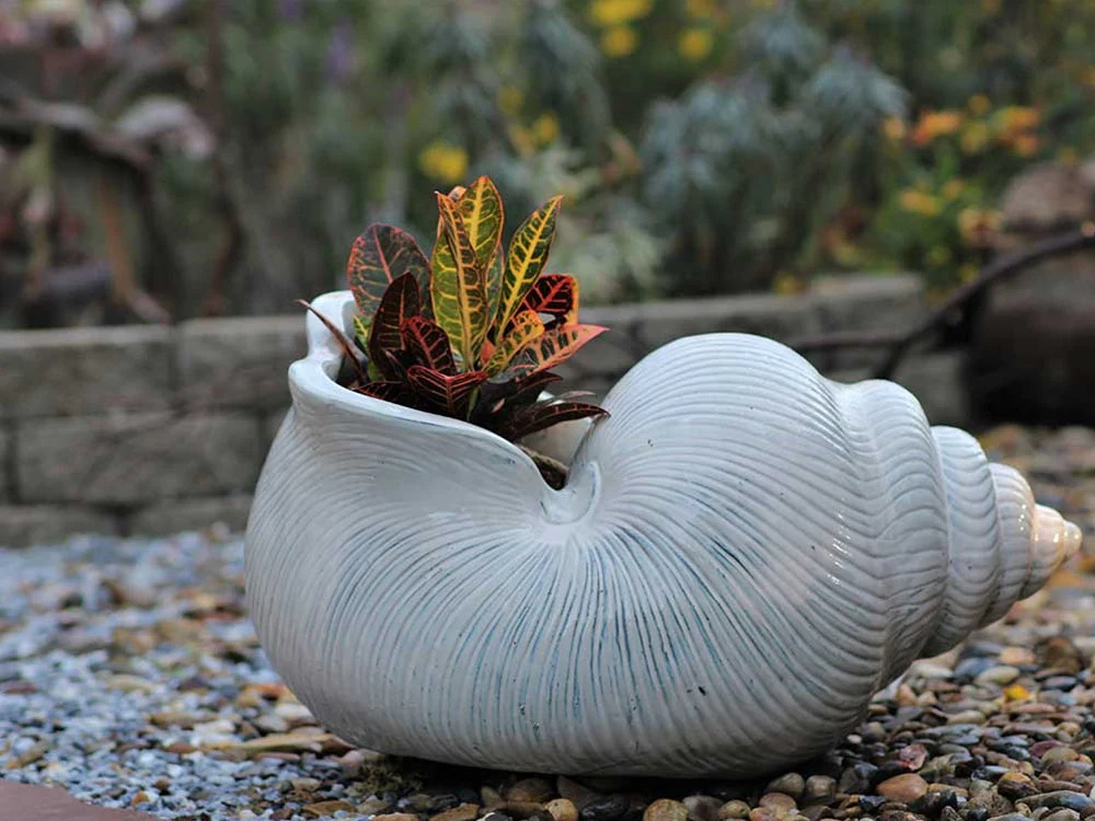 Shell Planter By Plantatorem - Image 3