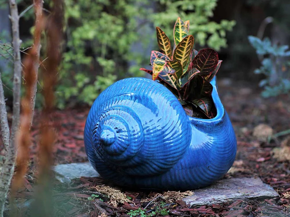 Shell Planter By Plantatorem - Image 4
