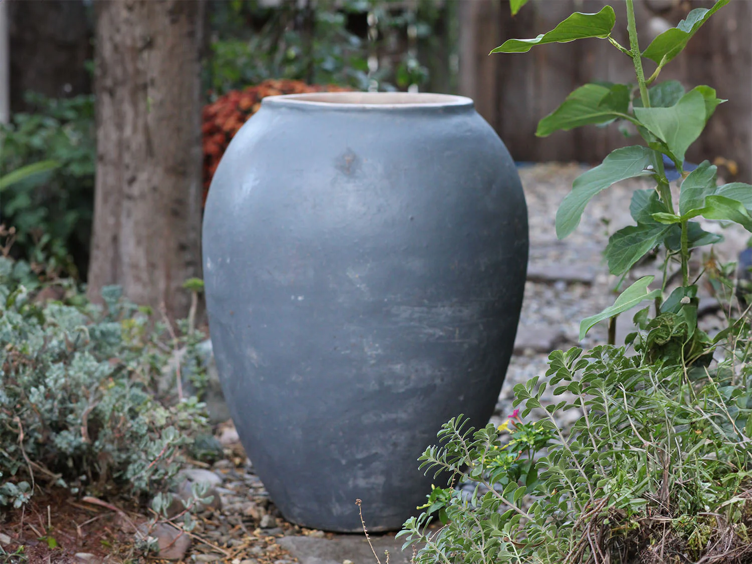 Single Water Jar By Plantatorem - Image 7