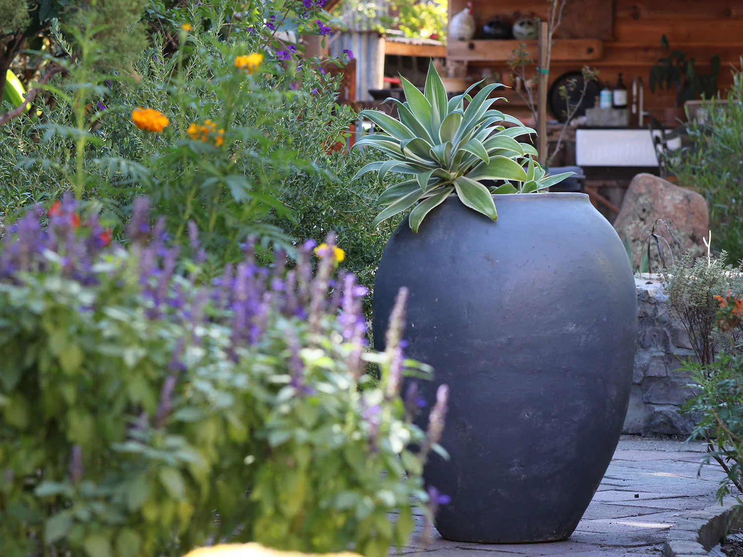 Single Water Jar By Plantatorem - Image 8