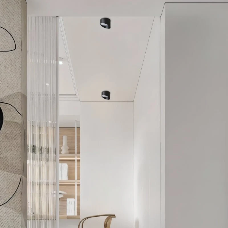 Siona Downlight - Image 3