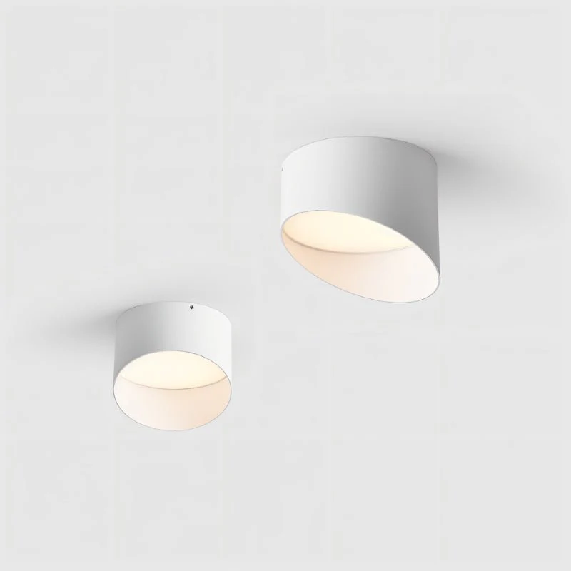 Siona Downlight - Image 5