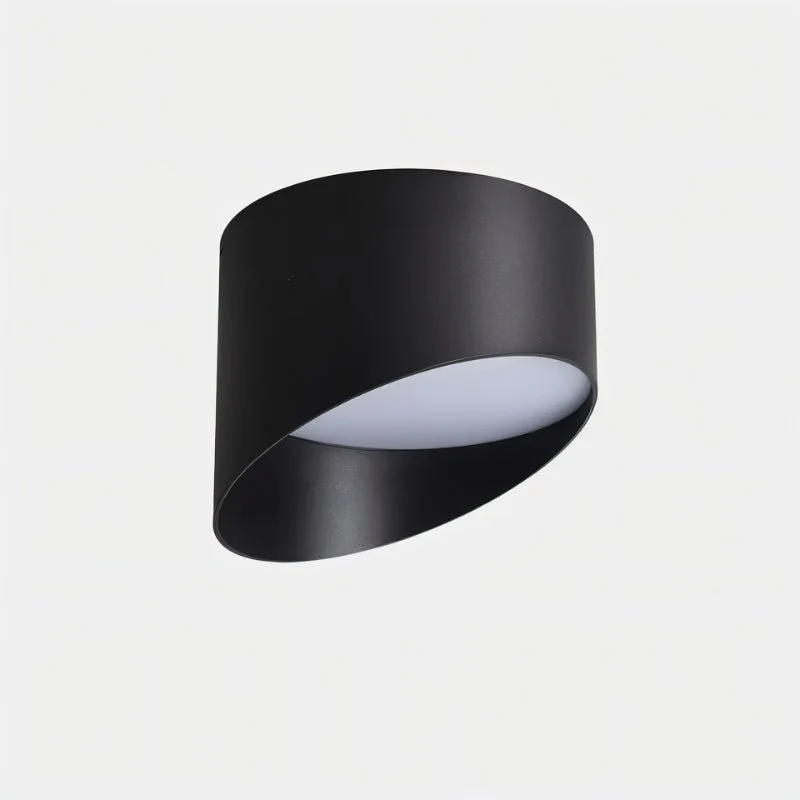 Siona Downlight - Image 6