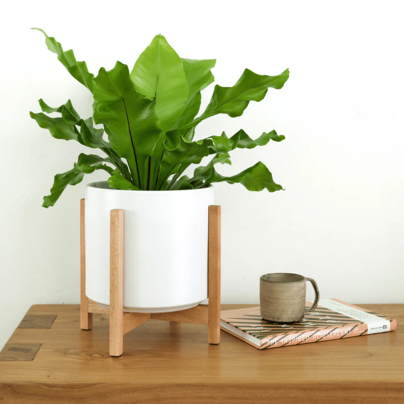Solid Goods Ceramic Cylinder– With or Without Mahogany Stand - Image 12