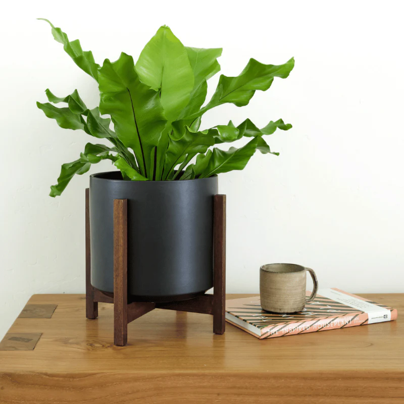 Solid Goods Ceramic Cylinder– With or Without Mahogany Stand - Image 9
