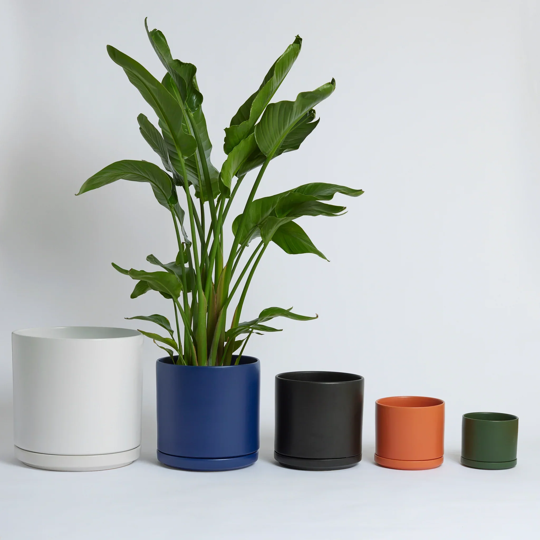 Solid Goods - Ceramic Cylinder with Saucer - Image 38