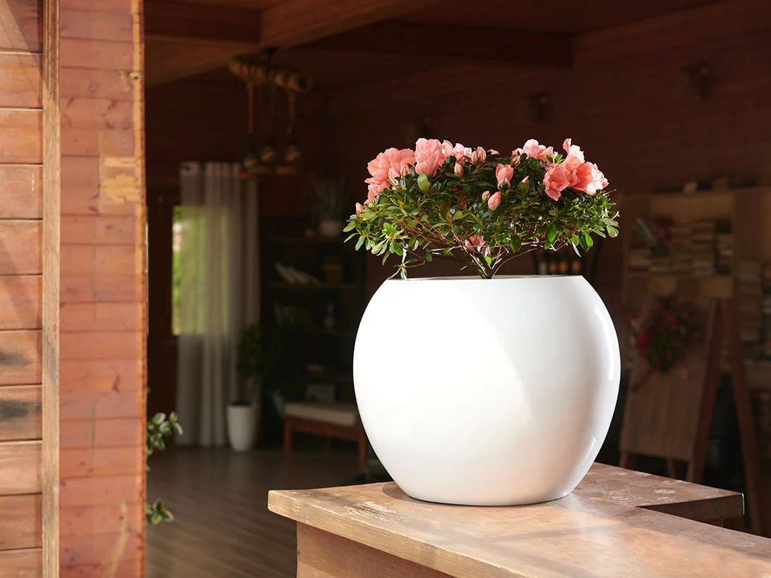 Sphere Planter- (Single Planter) By Plantatorem - Image 3