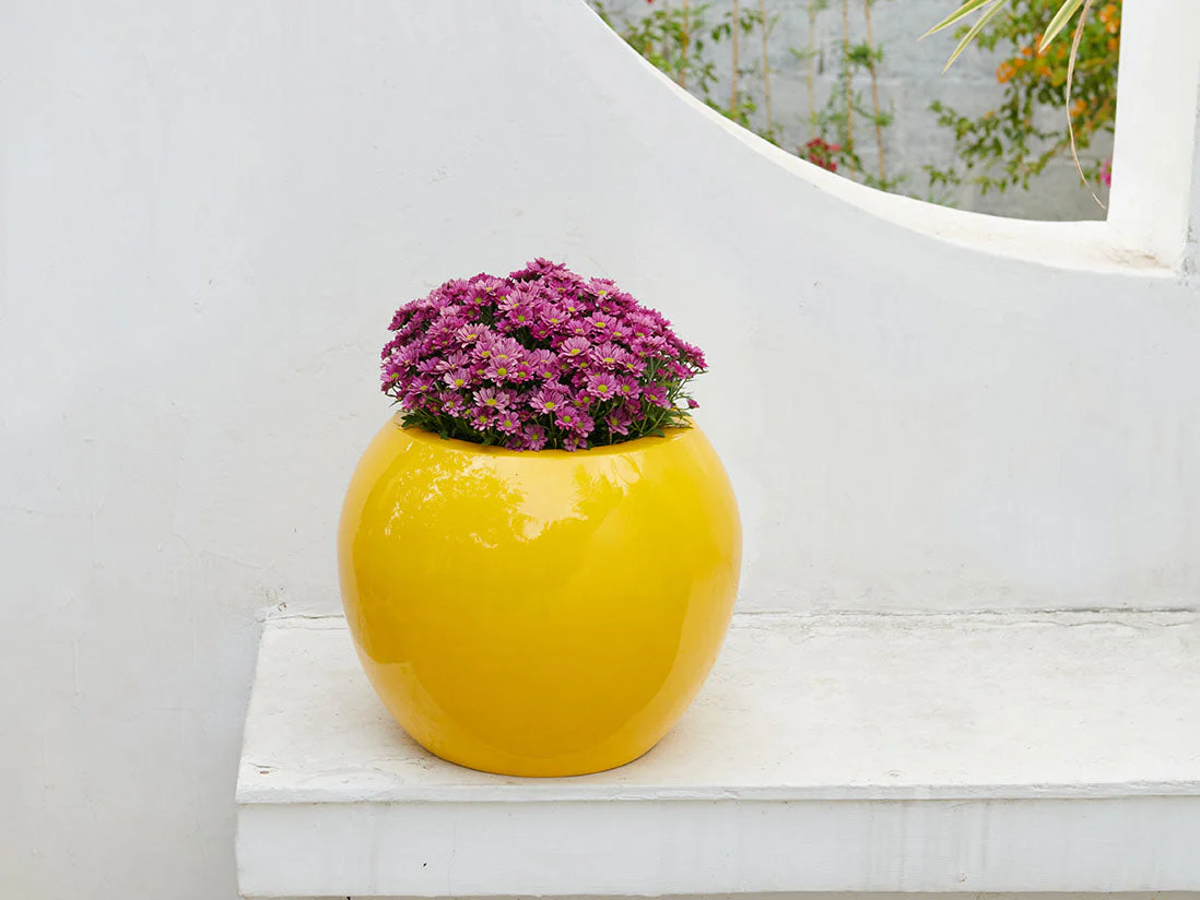Sphere Planter- (Single Planter) By Plantatorem - Image 4