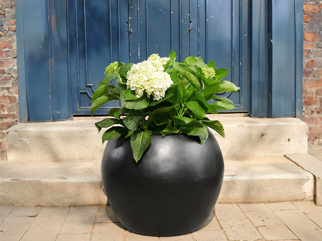 Sphere Planter- (Single Planter) By Plantatorem - Image 5