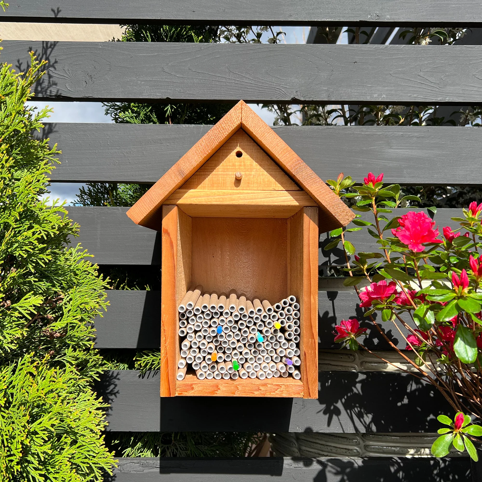 Spring Cardboard BeeTubes and Inserts for Mason Bees - 8mm - Image 2
