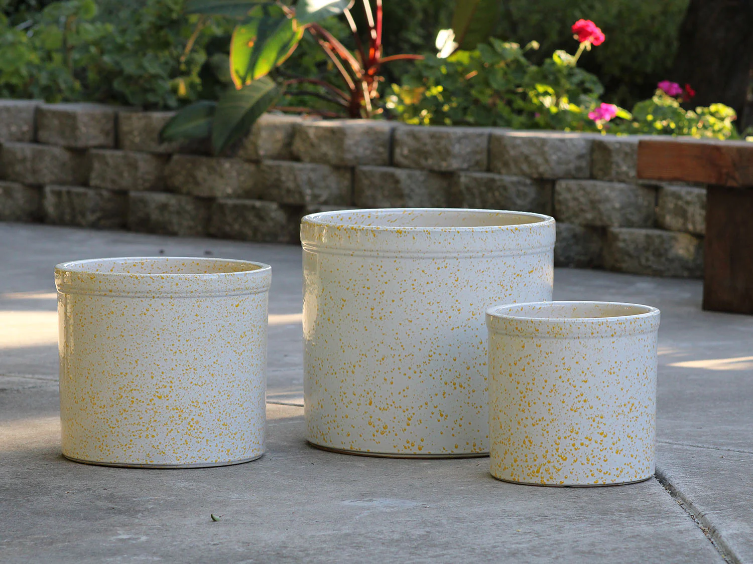 Sprout Pot - Image 2