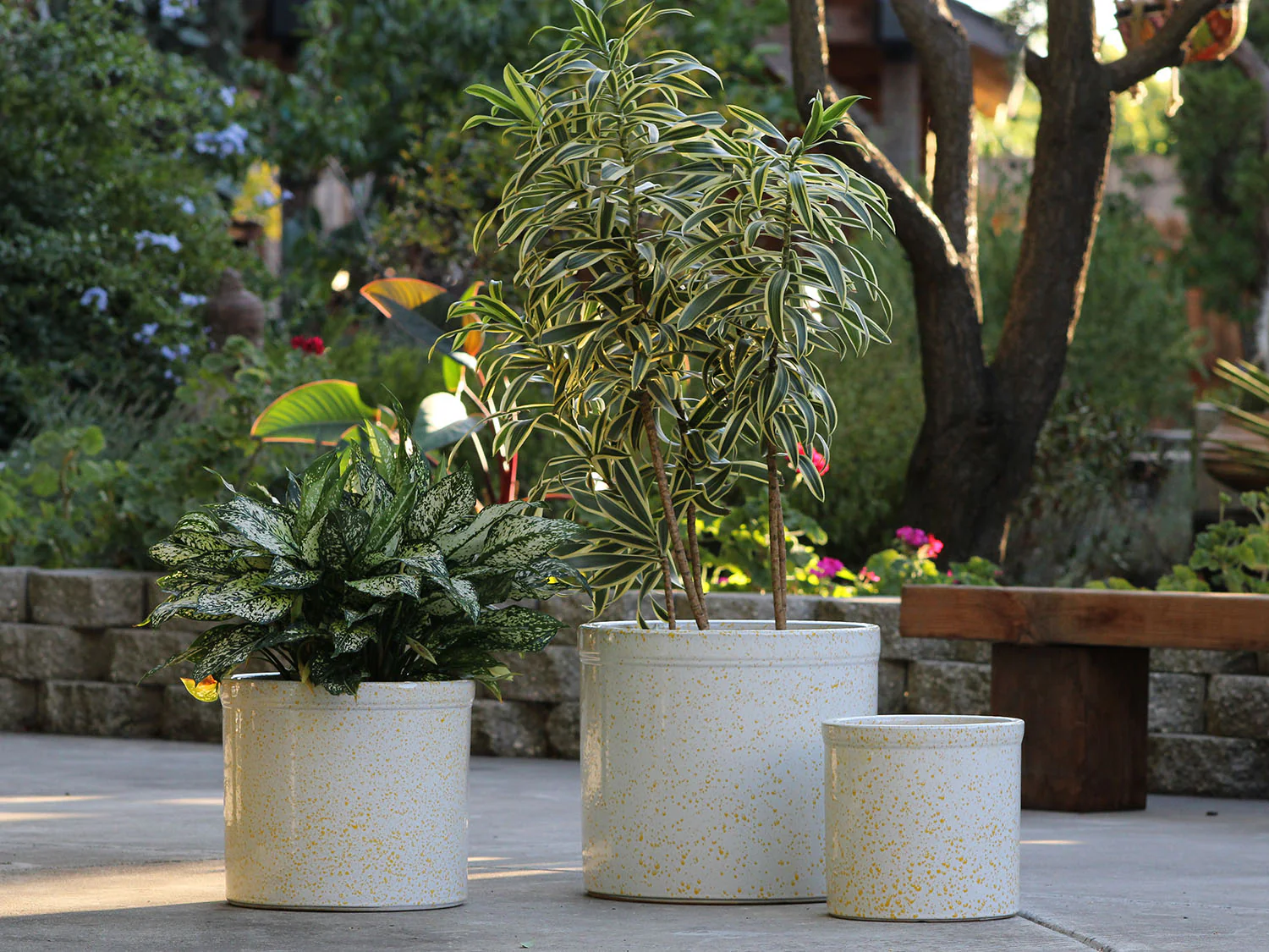 Sprout Pot - Image 4