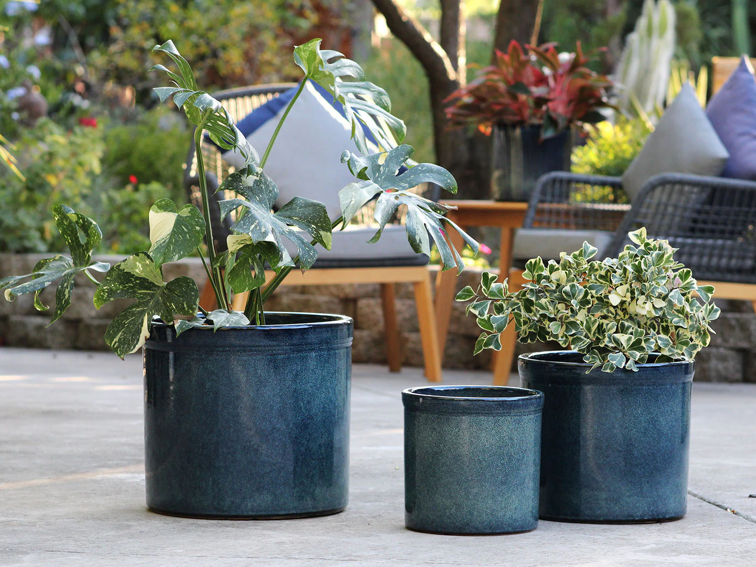 Sprout Pot - Image 6