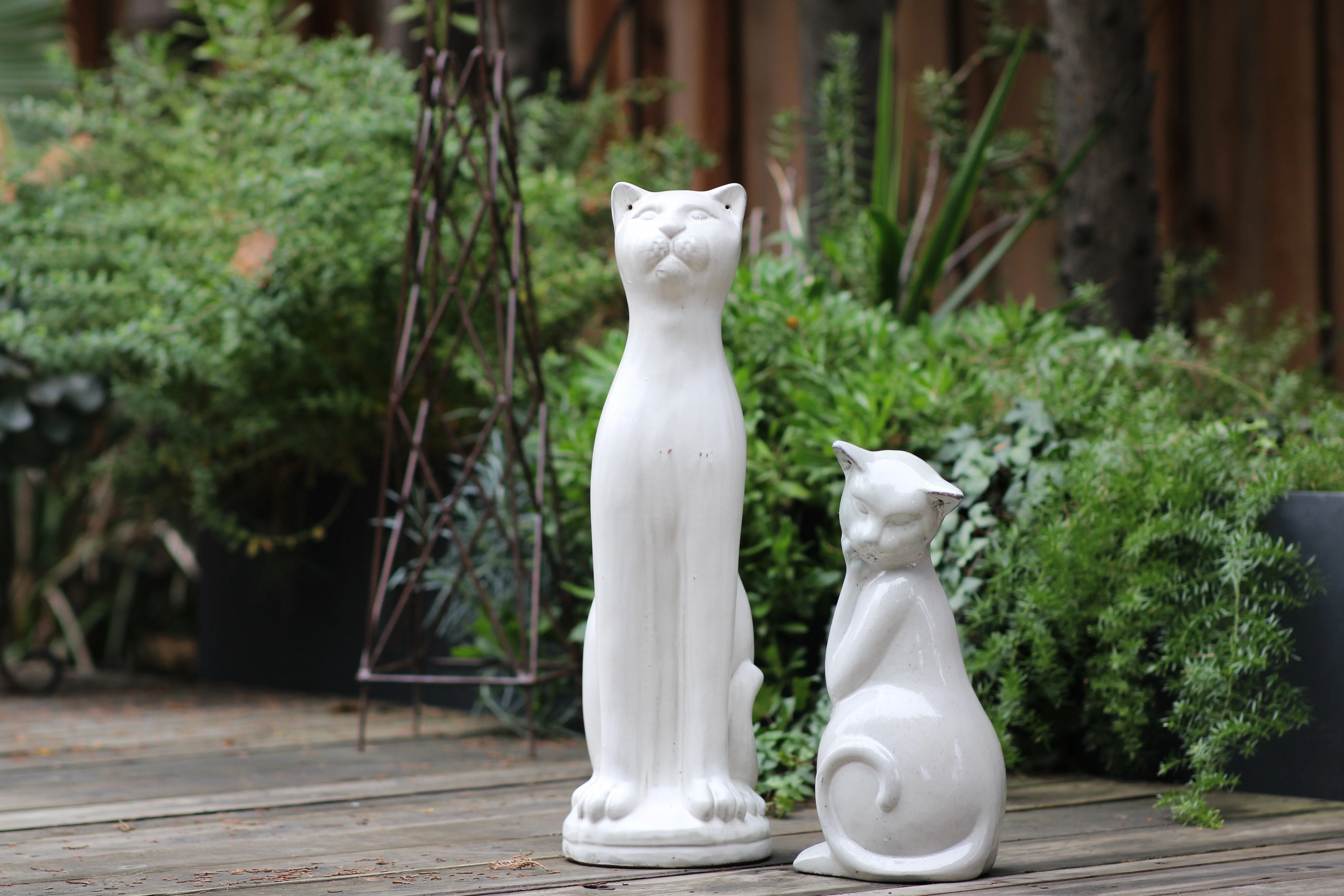 Standing Cat By Plantatorem - Image 2