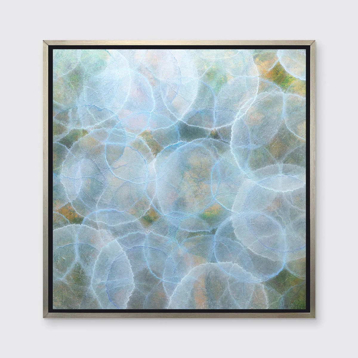 Staphisagria - Limited Edition Canvas Print