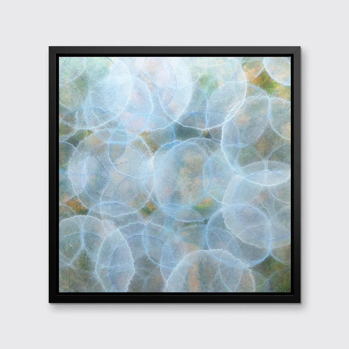 Staphisagria - Limited Edition Canvas Print - Image 3