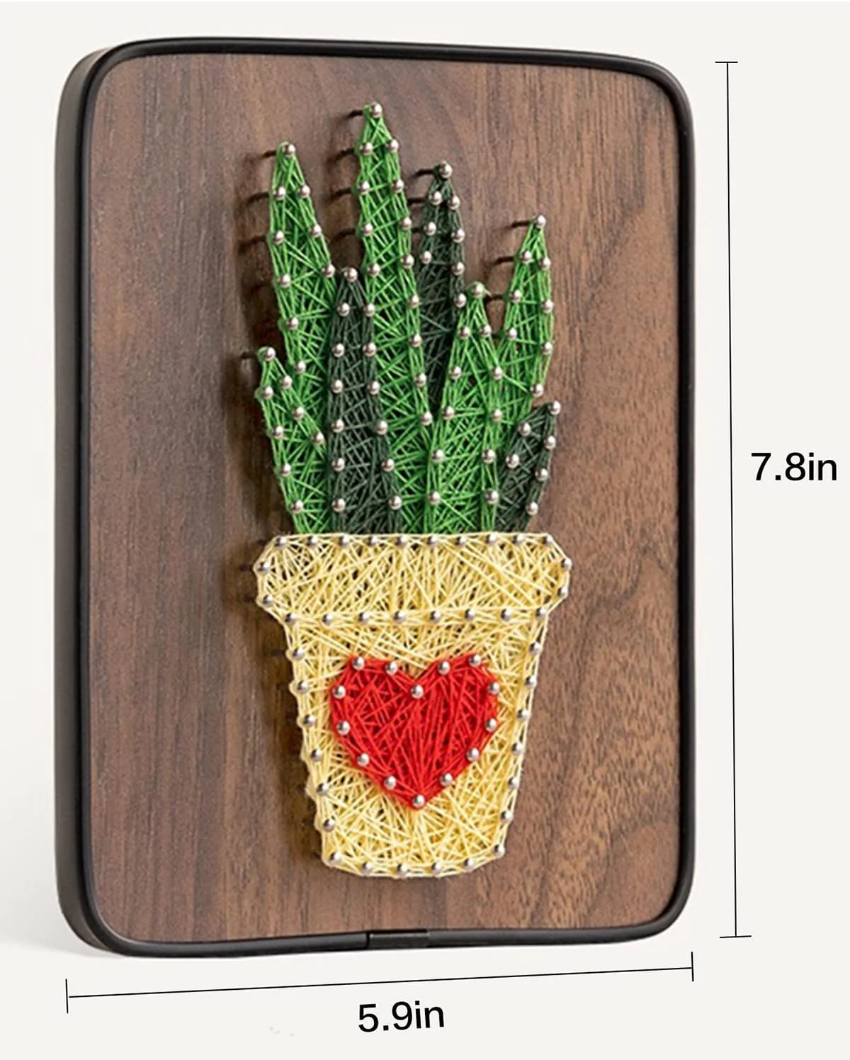 String Art DIY Kit - Aloe. Wizardi Craft Kit F07-M12-3-DH9004 - Image 3