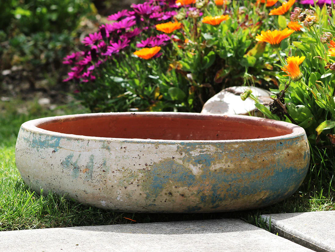 Succulent Bowl-Set of 3 By Plantatorem - Image 3