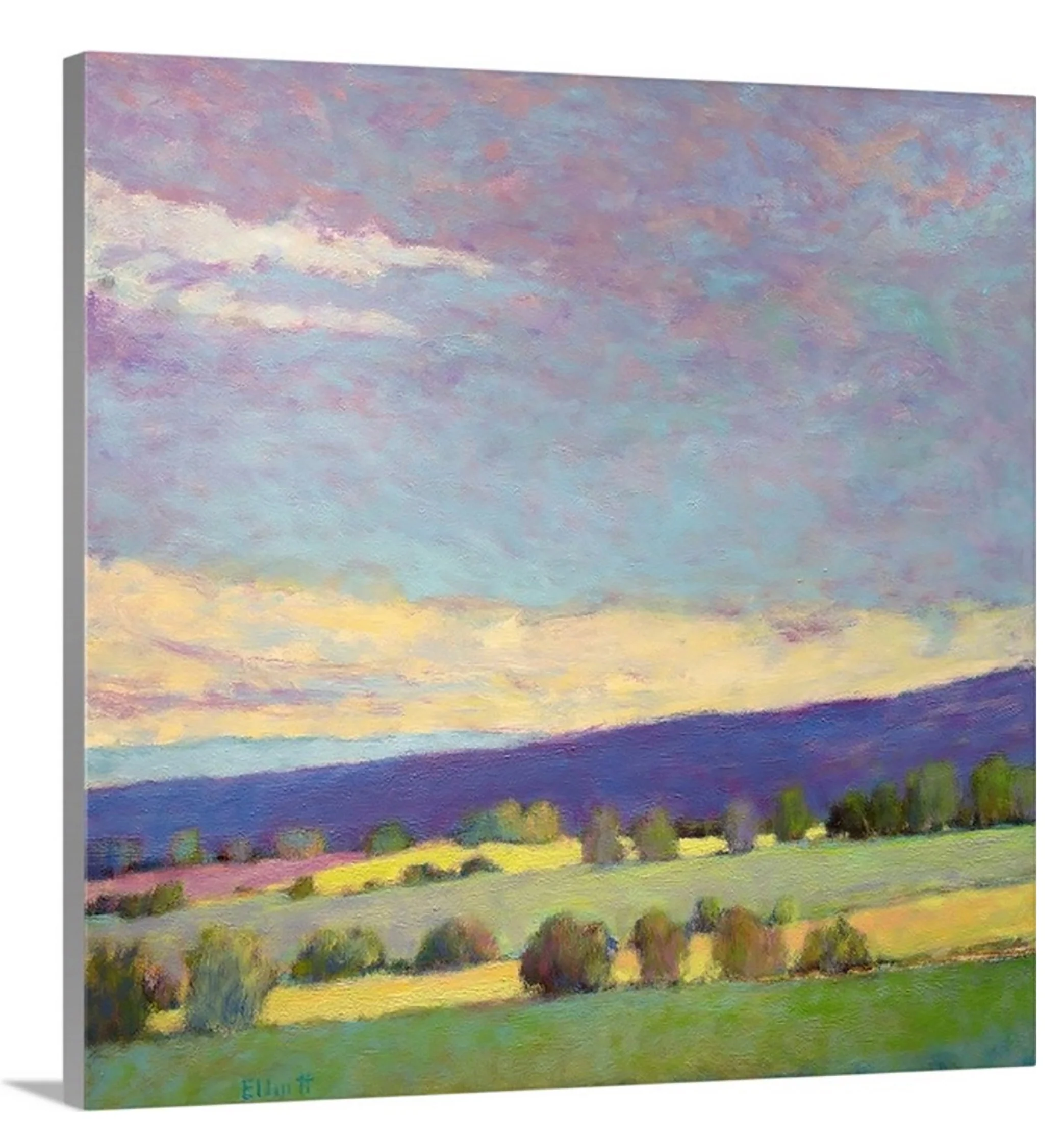 Summer Song - Open Edition Canvas Print - Image 4