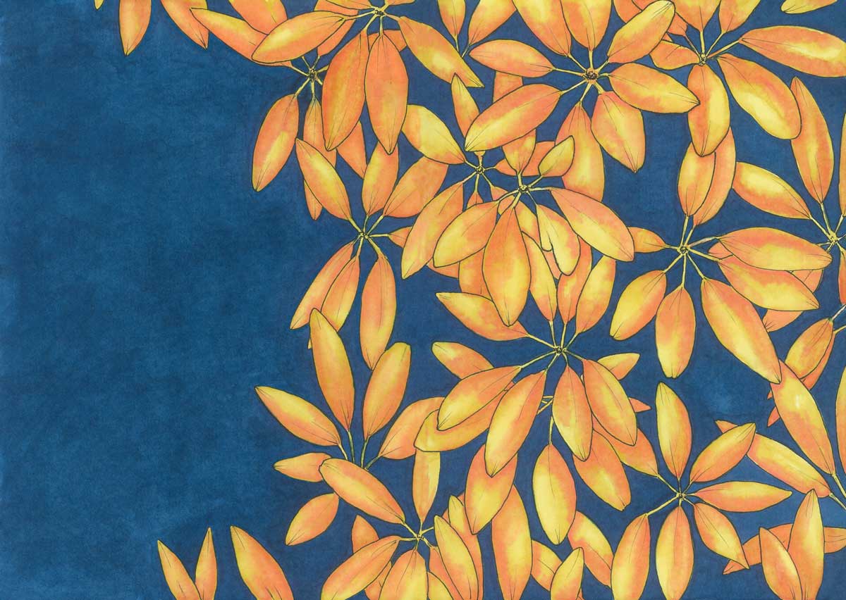 Sun Stars - Open Edition Paper Print - Image 3