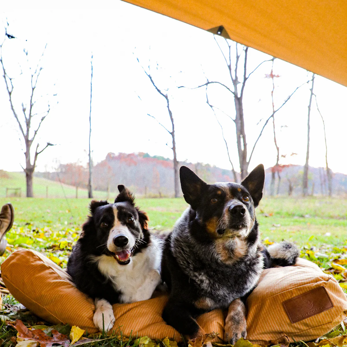 Sunshade Tarp 100 - Image 10