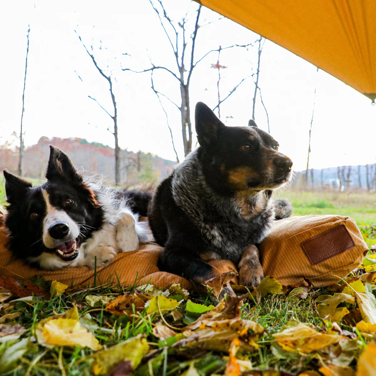 Sunshade Tarp 100 - Image 11