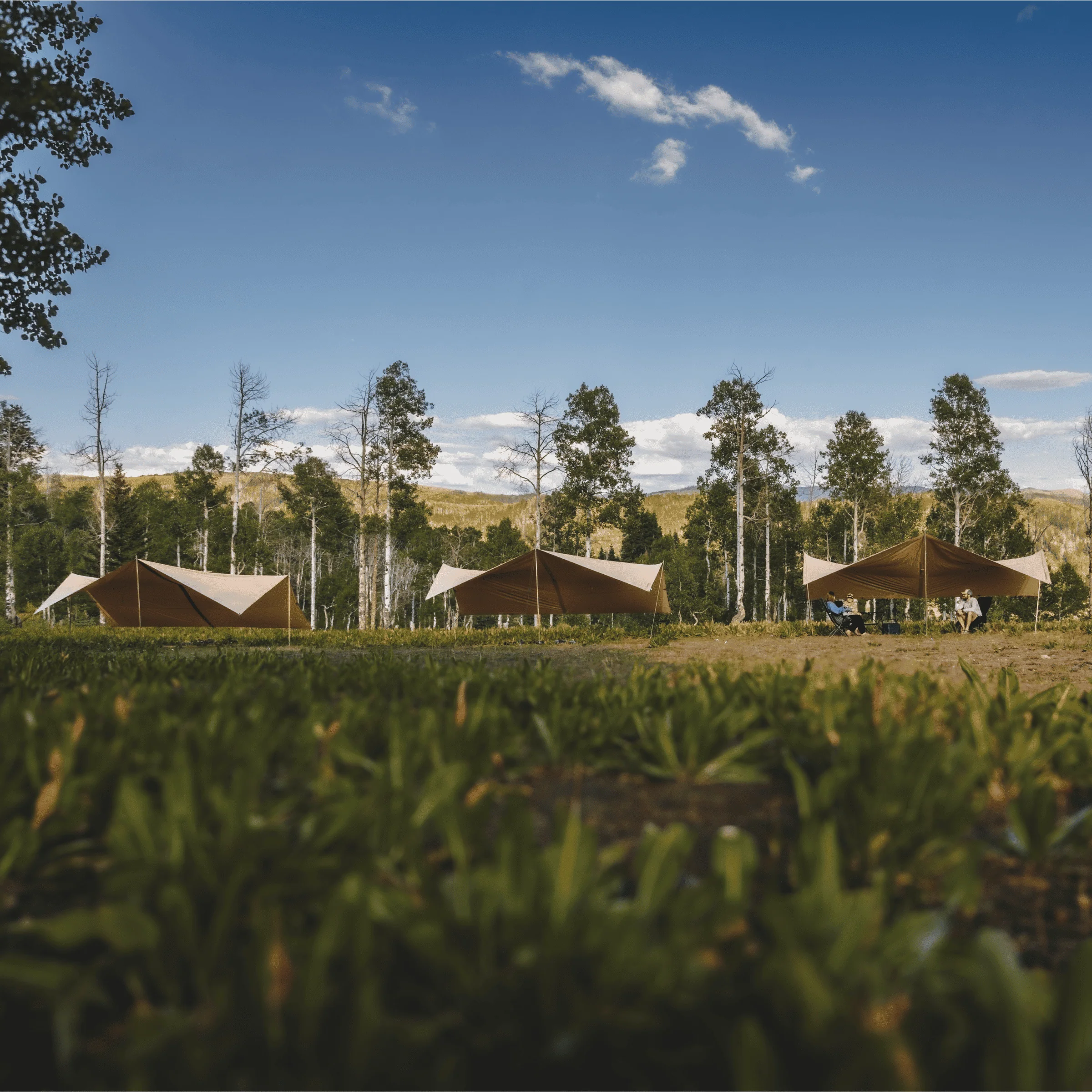 Sunshade Tarp 100 - Image 5
