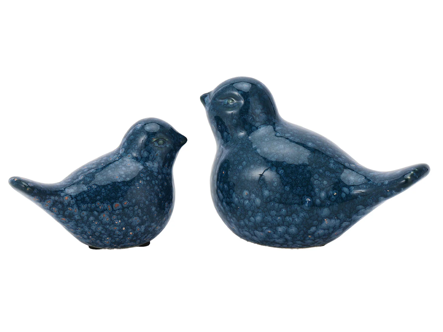 Swallow - Image 2