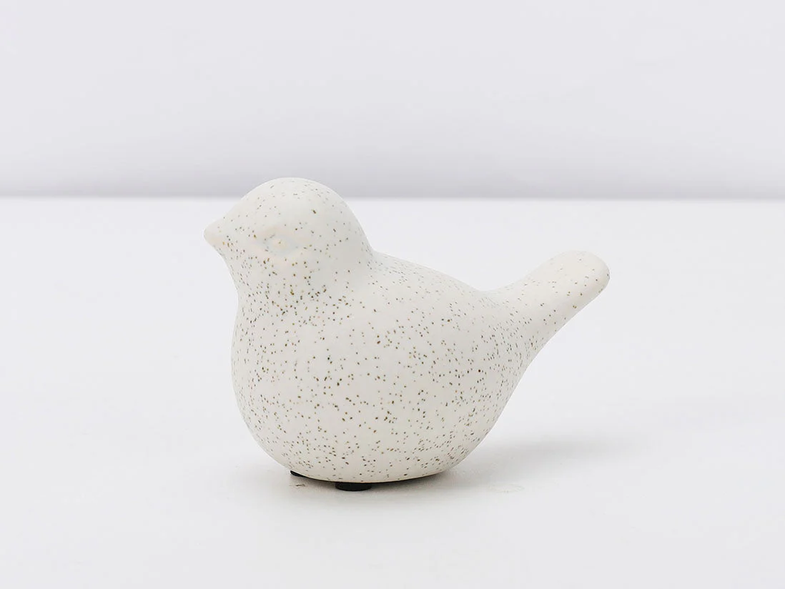 Swallow - Image 3