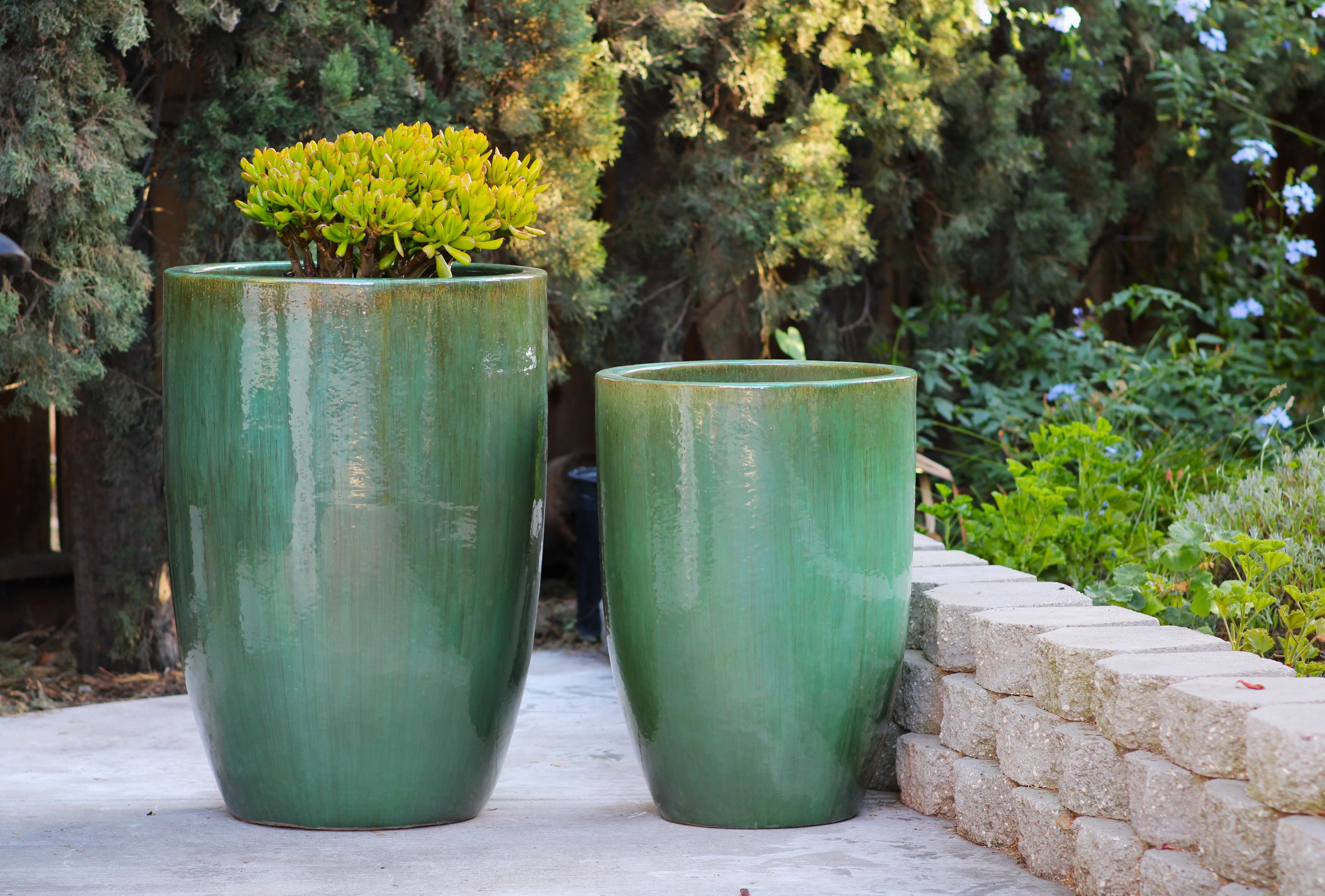 Tall Barrel Planters - Set of 2 By Plantatorem - Image 3