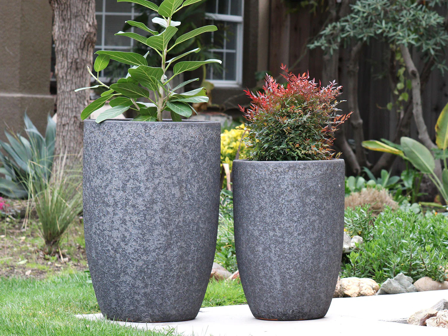 Tall Barrel Planters - Set of 2 By Plantatorem - Image 8