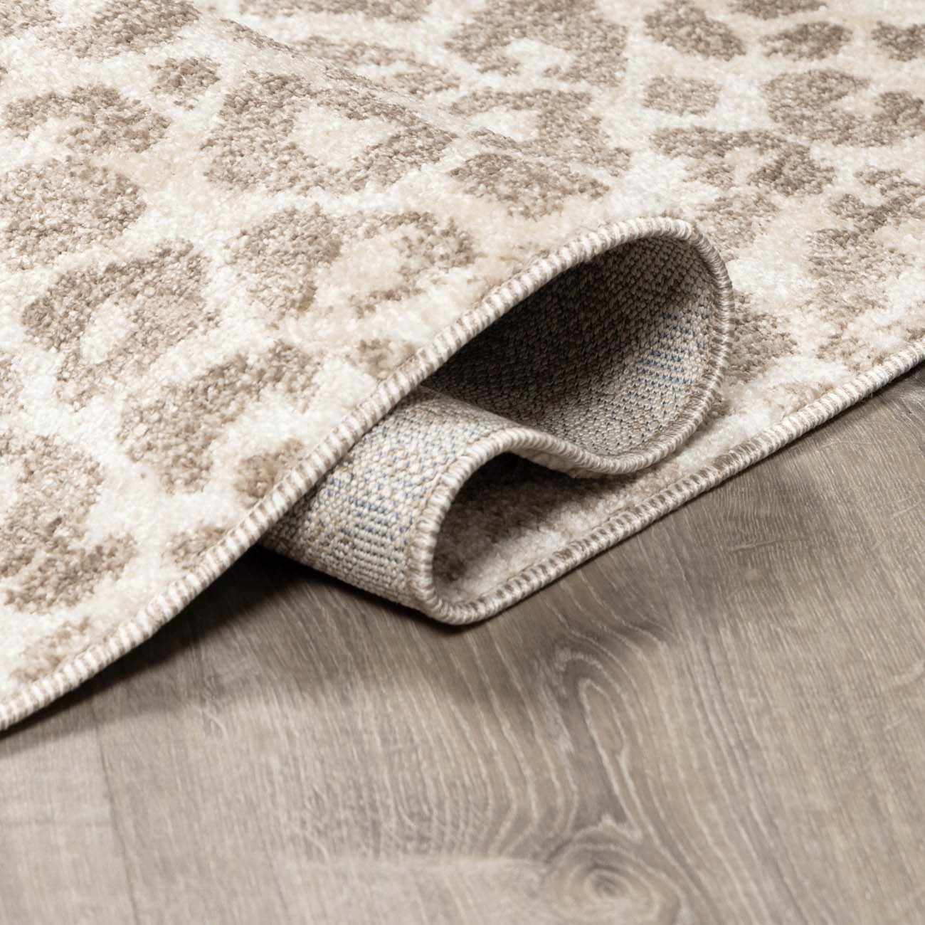 Tan Bonhill Leopard Print Area Rug - Image 6