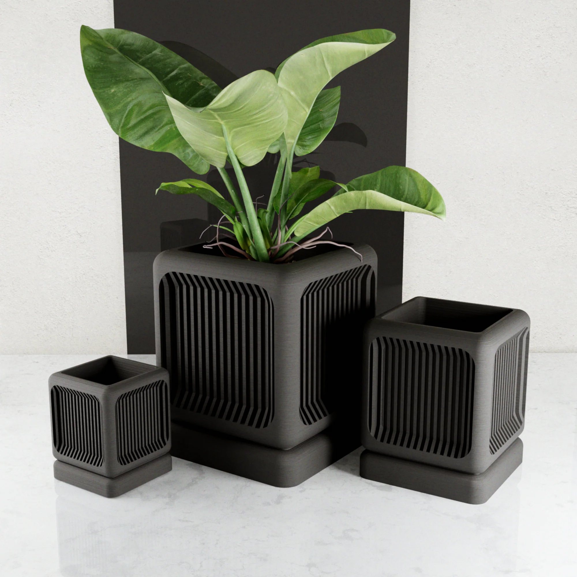 THE BOX Planter - Image 2