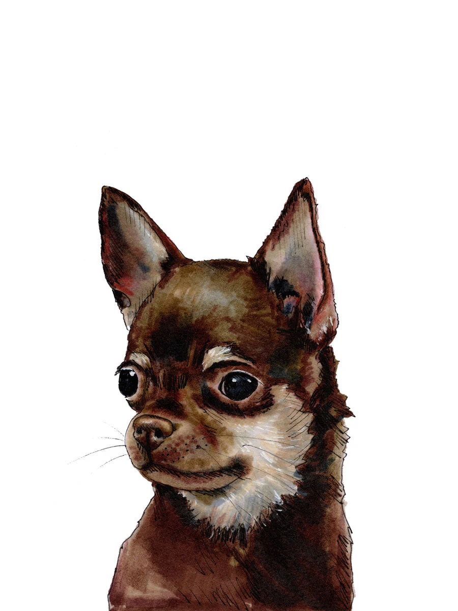 The Chihuahua - Open Edition Paper Print - Image 6