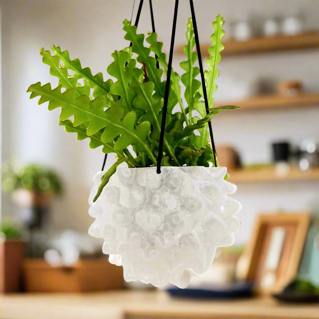 The Creature Orb Hanging Planter Pot With Drainage - Image 10