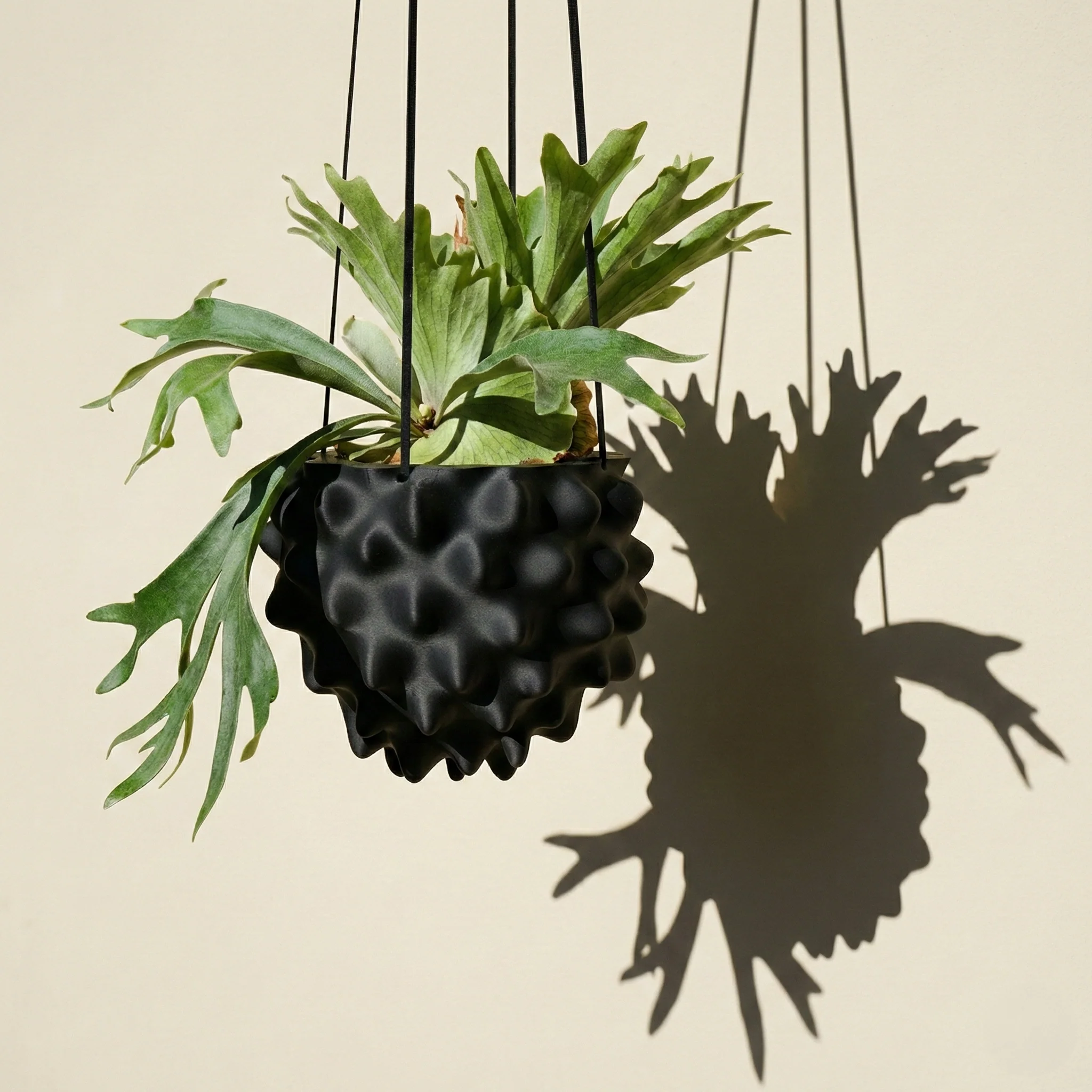 The Creature Orb Hanging Planter Pot With Drainage - Image 11