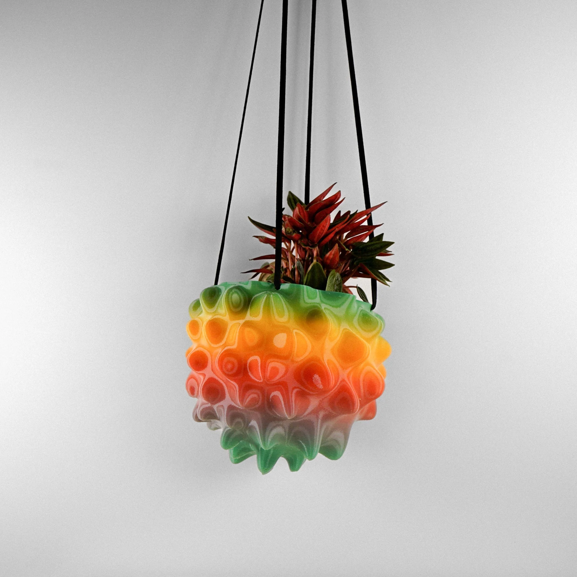 The Creature Orb Hanging Planter Pot With Drainage - Image 13