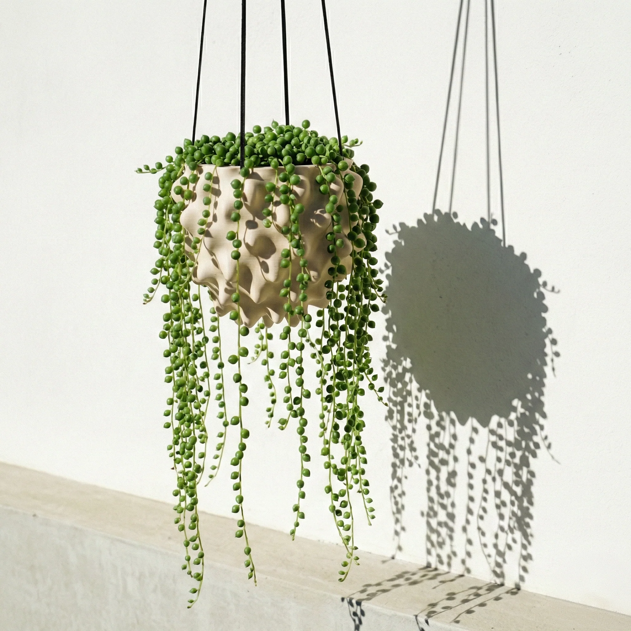 The Creature Orb Hanging Planter Pot With Drainage - Image 14