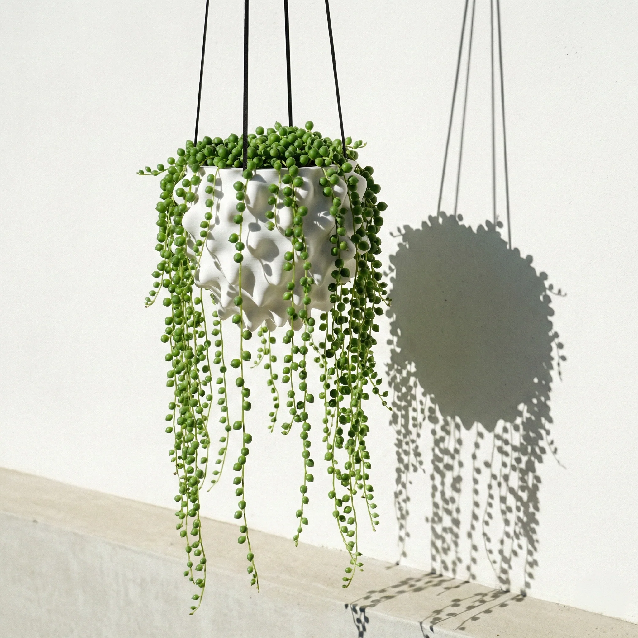 The Creature Orb Hanging Planter Pot With Drainage - Image 7