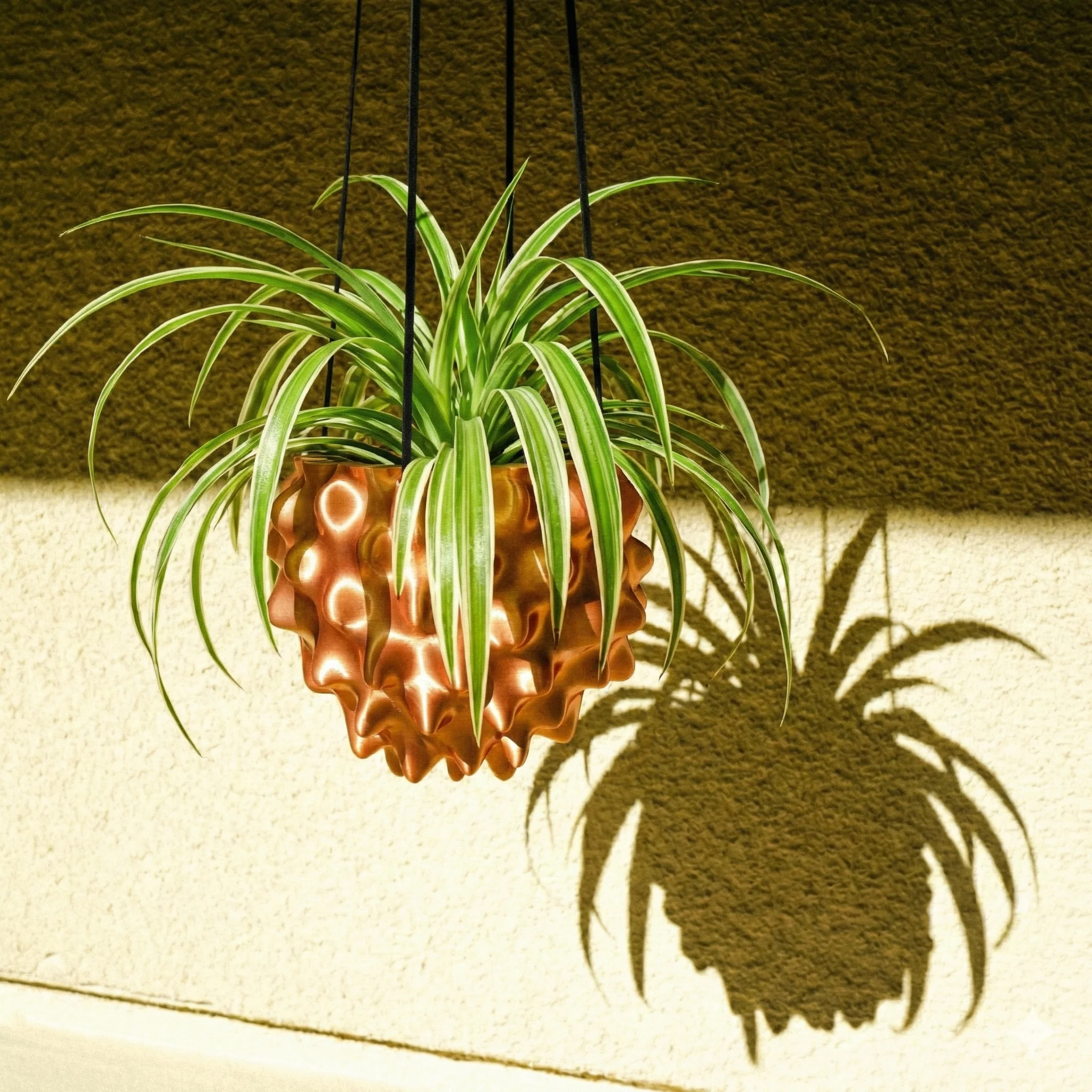 The Creature Orb Hanging Planter Pot With Drainage - Image 8